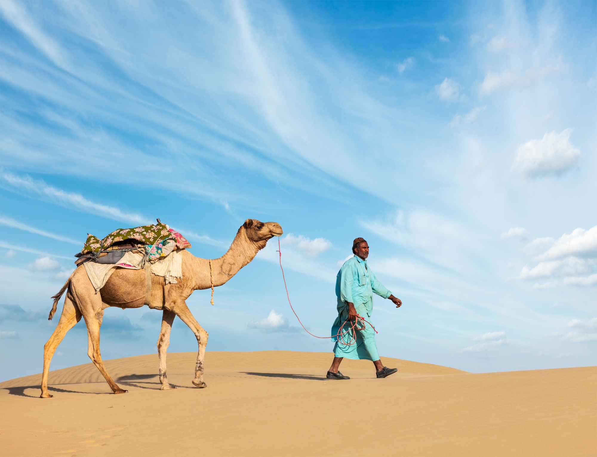Cameleer (camel driver) with camels in Rajasthan, India