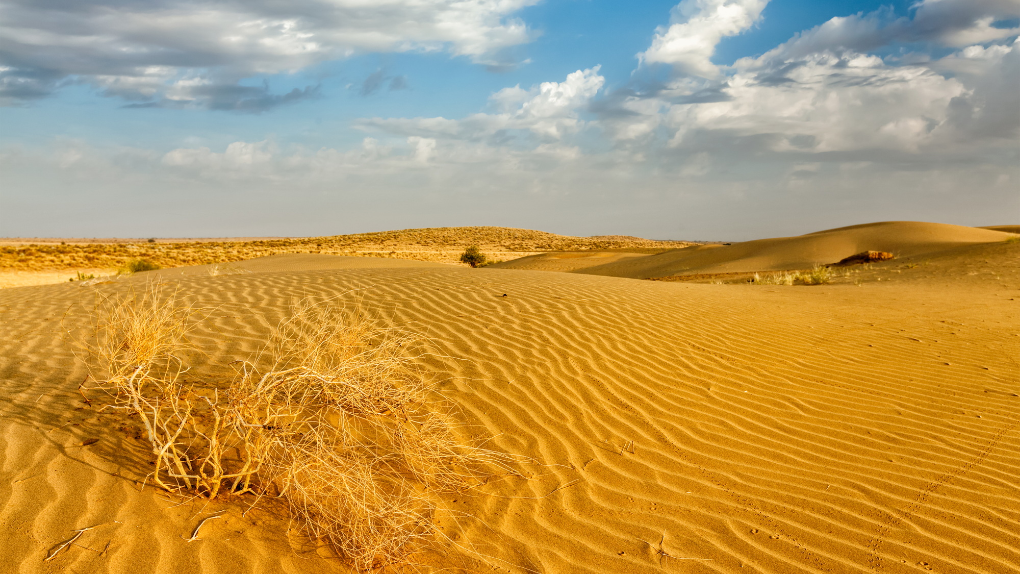 Dunes of Thar Desert, Rajasthan, India